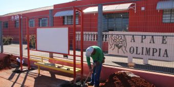 Adote um Ponto de Onibus (2)