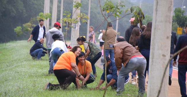 Atividades - Meio Ambiente (3)