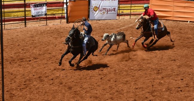 Copa Cavalo 2019 (1)