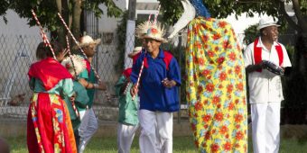 Mineiro Pau e Boi Pintadinho (1)