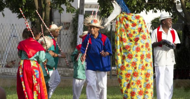 Mineiro Pau e Boi Pintadinho (1)