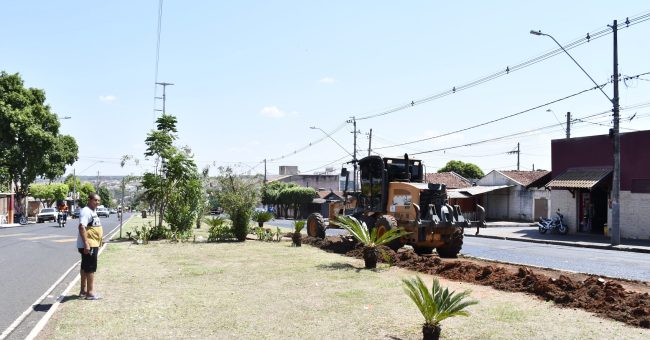 Construcao Ciclovia - Av  Constitucionalista (2)