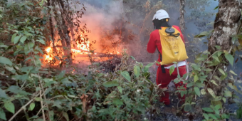 Cerca de 15 mil agentes e as 20 aeronaves seguem mobilizados para o enfrentamento aos focos de incêndio no estado de SP (Foto: Divulgação/ Governo de SP)