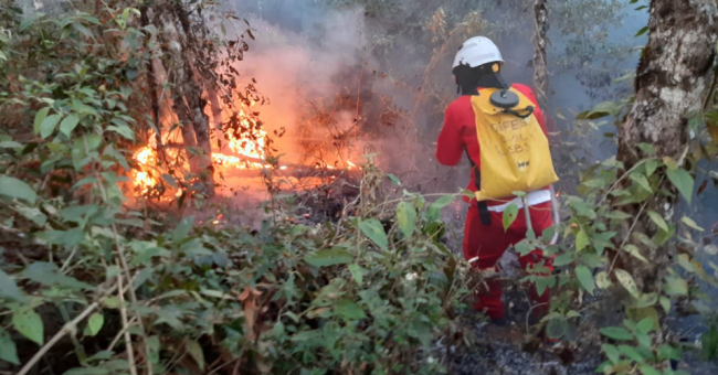 Cerca de 15 mil agentes e as 20 aeronaves seguem mobilizados para o enfrentamento aos focos de incêndio no estado de SP (Foto: Divulgação/ Governo de SP)