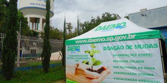 Tenda Daemo Doações de Mudas