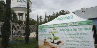 Doação de Mudas - Daemo Ambiental