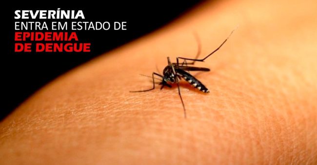 Epidemia de dengue em Severínia