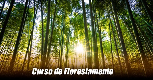 florestamento