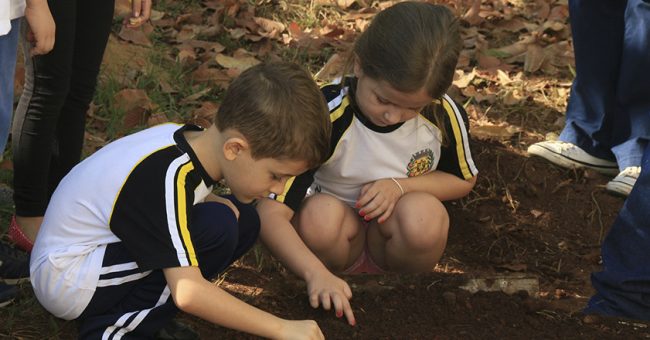 horta na escola