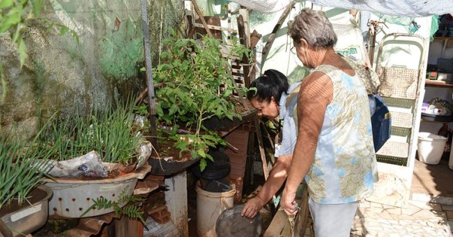 Combate à Dengue