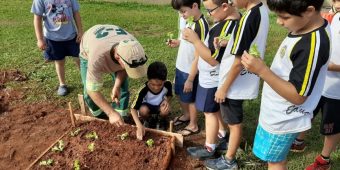 Projeto Horta nas Escolas Olímpia