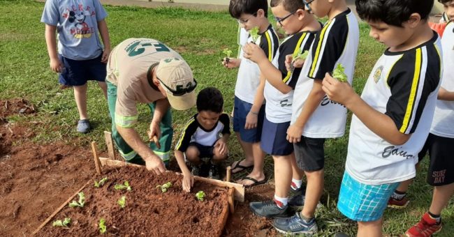 Projeto Horta nas Escolas Olímpia