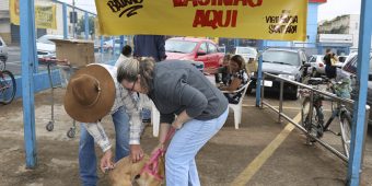 contra raiva animal Olímpia