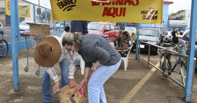 contra raiva animal Olímpia